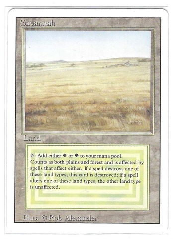 Savannah (#575)